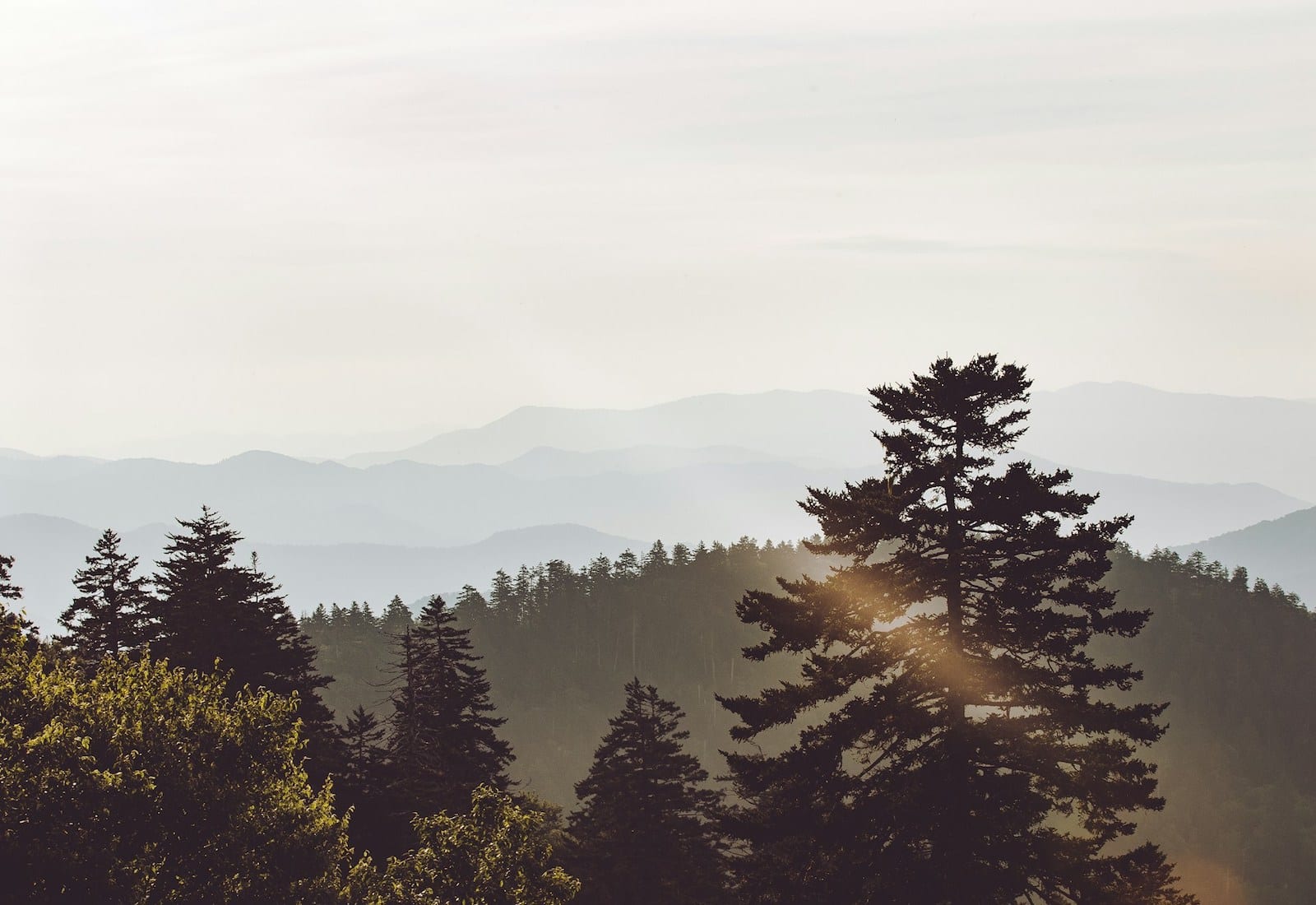 Camping in the Smoky Mountains: Tips for a Memorable Experience — Grand Welcome Great Smoky Mountains