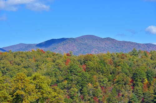 Cultural Experiences and Heritage in the Smoky Mountains