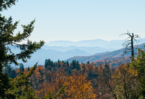 Experiencing the Fall Colors of the Smoky Mountains