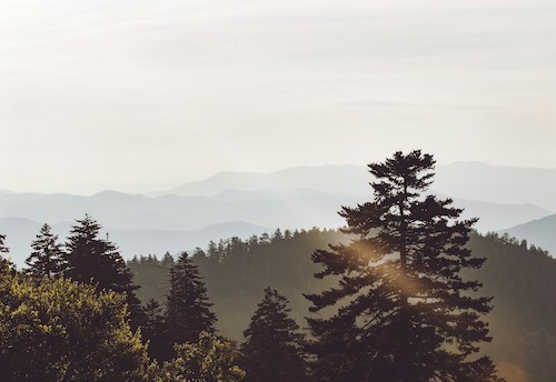 The Smoky Mountains Through the Seasons: What to Expect